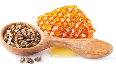 Moć propolisa za zdravlje cijelog organizma