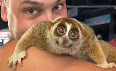 Drugi put na “ludi kamen”, ali pod palmama: Darko se ženi na Tajlandu