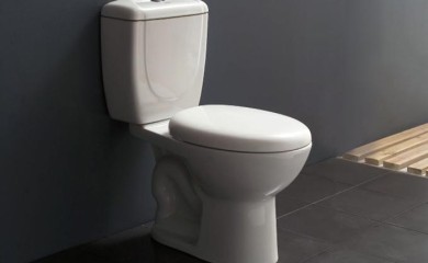 Ubacite jednu namirnicu u WC šolju, ono što će se desiti je neverovatno