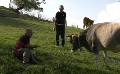 “Zar nisam ja čarobnjak”: Zmaj od Šipova pokazao kako hvata goveda