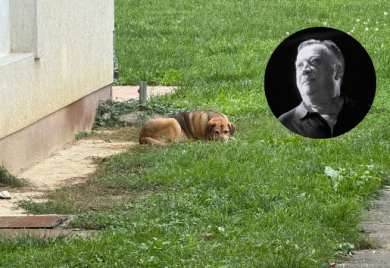 Halidov vjerni prijatelj ne podnosi gubitak: Danima leži ispred hotela i odbija hranu